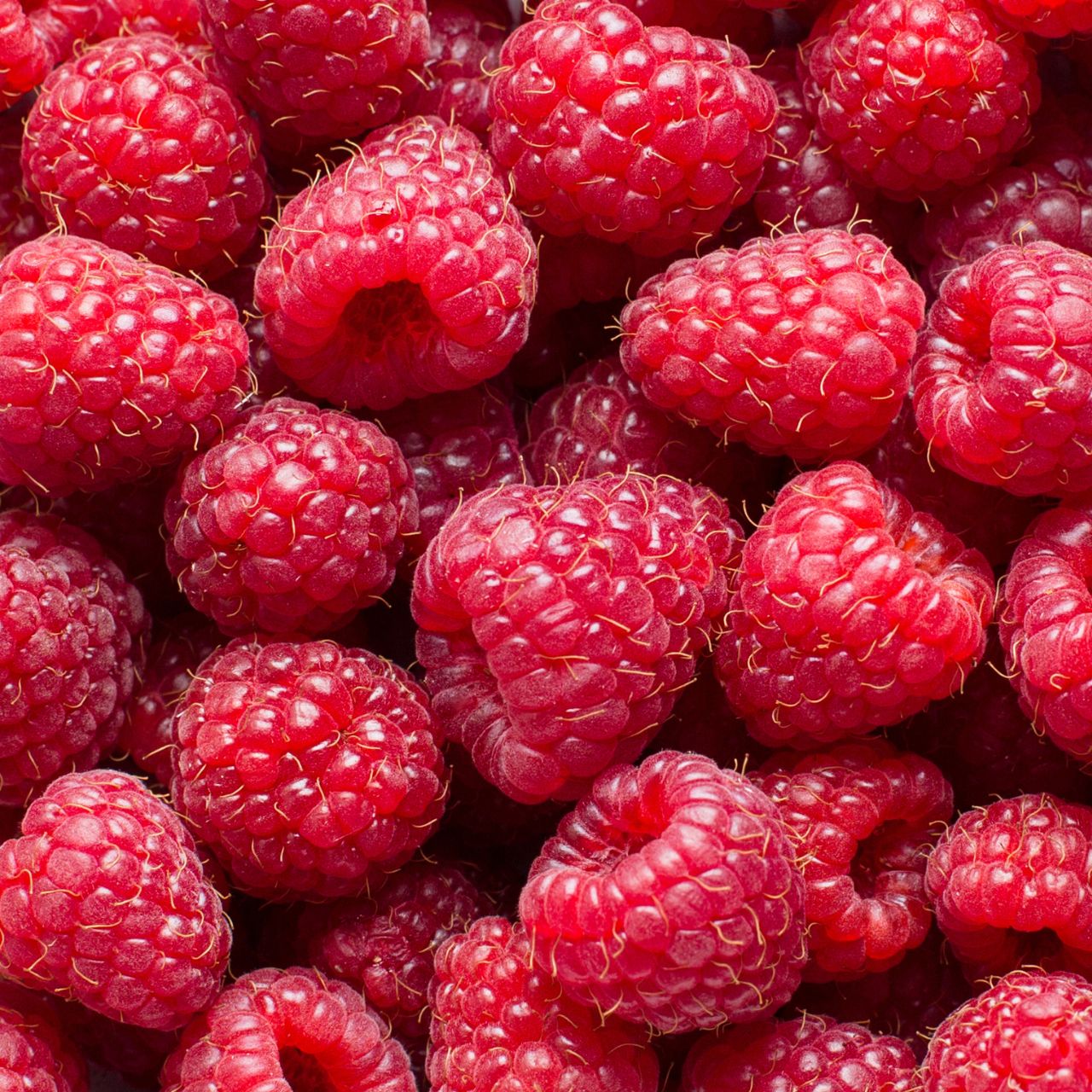 Framboises 125g Maxime Boutique