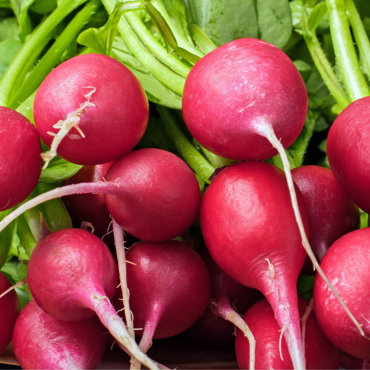 Fruits & Légumes